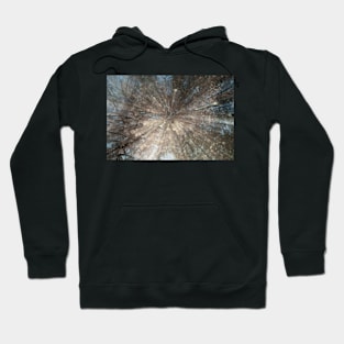 Muted autumn tones abstract Hoodie